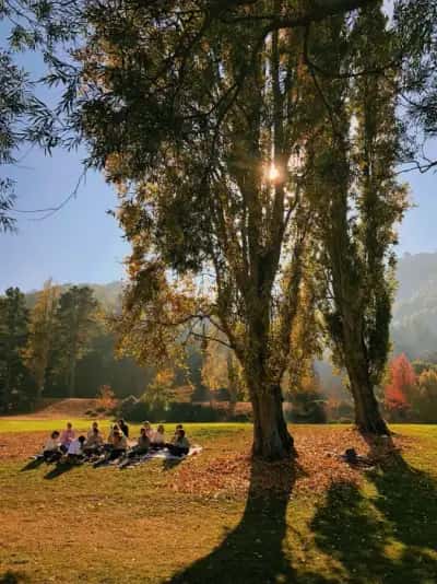 Family travel package: 6 Nights 7 Days