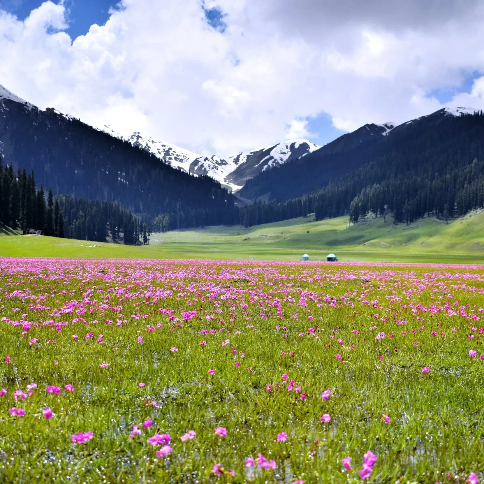 Bangus valley image 3