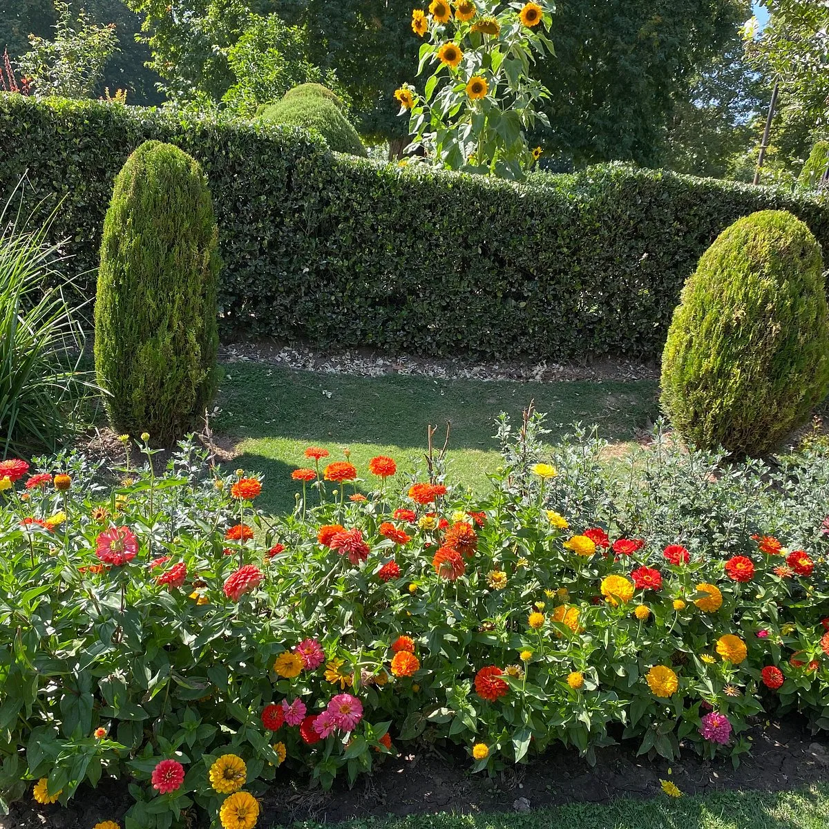 Scenic view of Kokernag 
