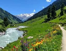 Photography & Sightseeing icon