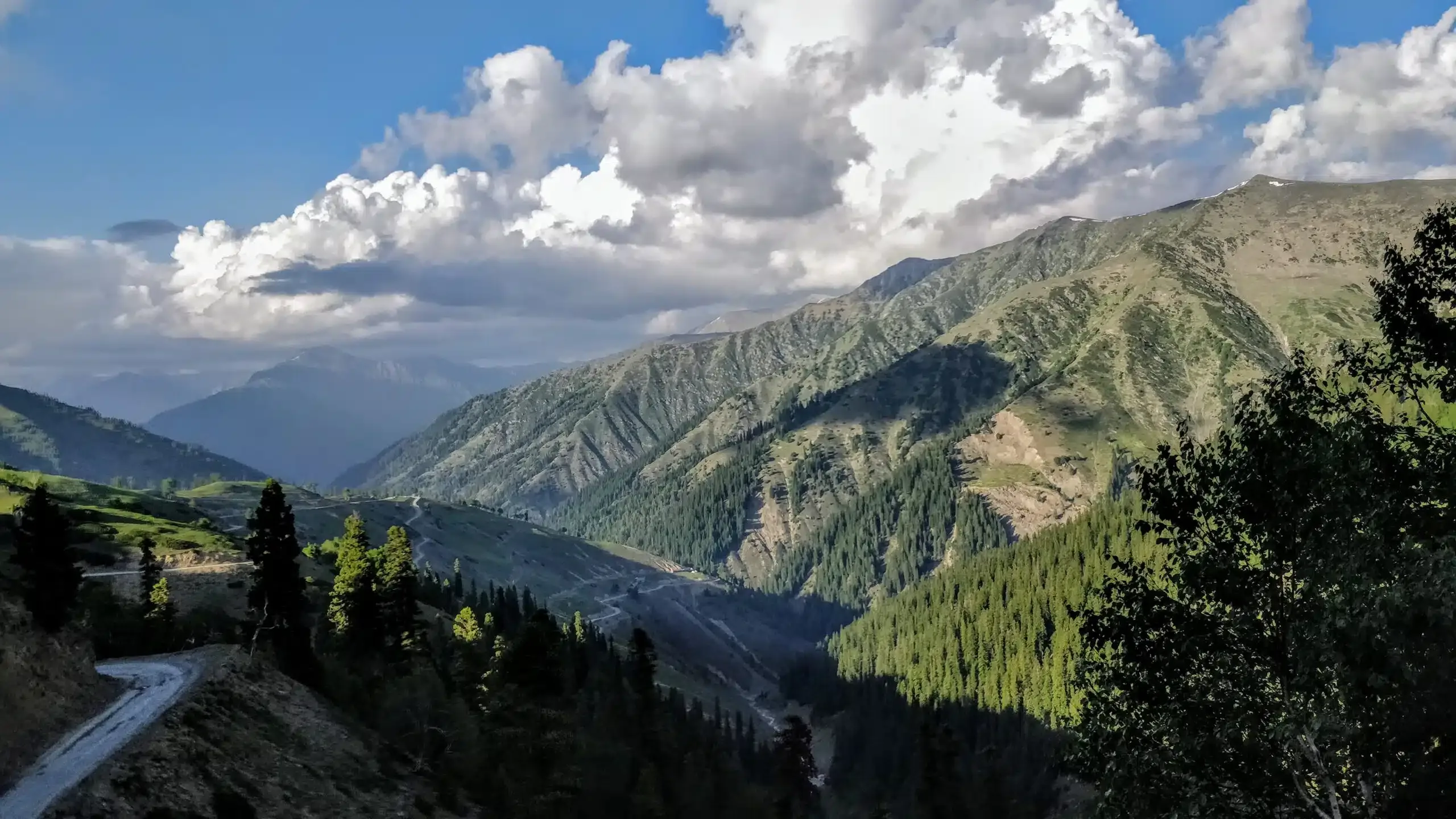 Upper Bangus Meadows