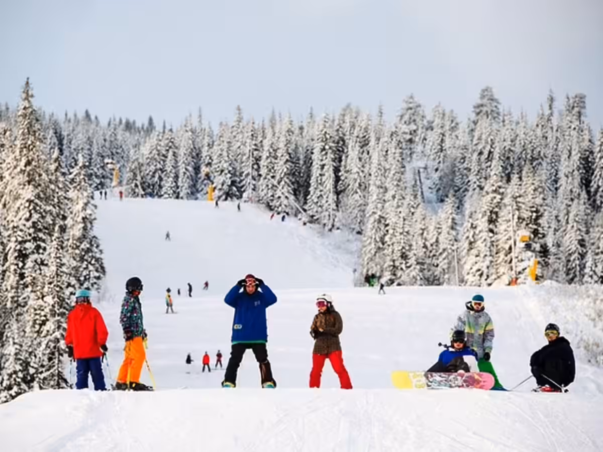 Winter Sports and Adventures Involving Snow icon