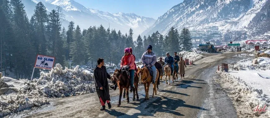 Pony Ride to Glacier Points icon