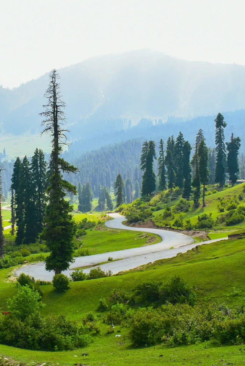 Nature Walks and Leisure Strolls icon