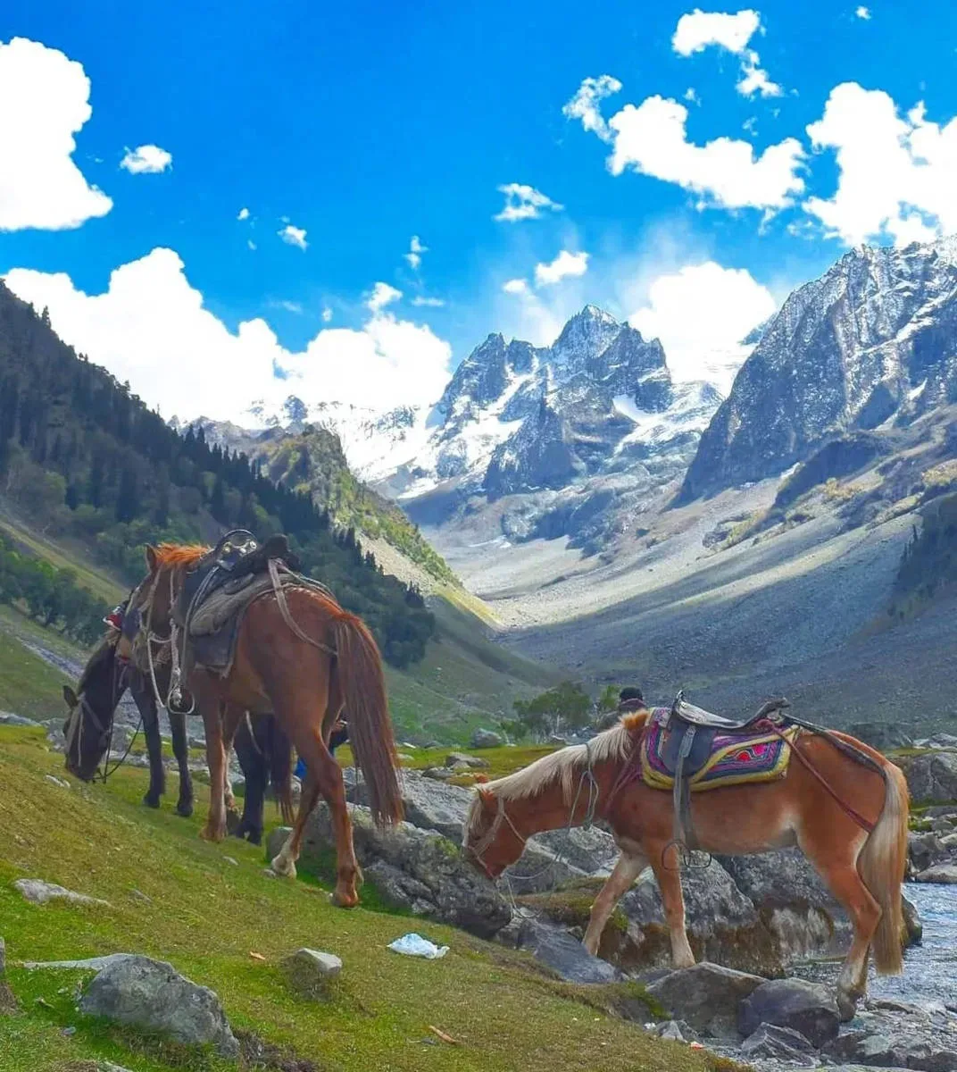 Horse Riding Through the Valley icon