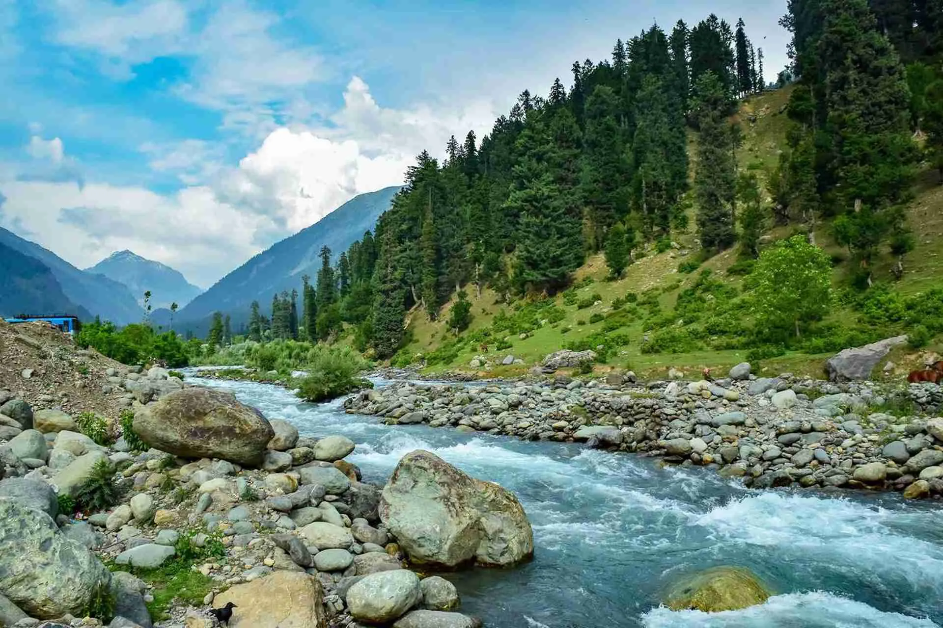 Family Kashmir packages